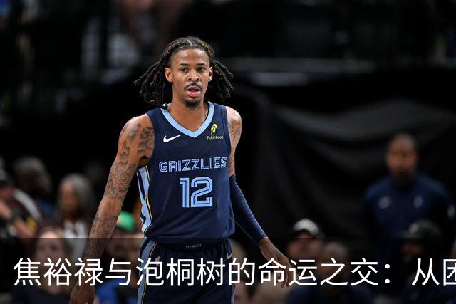 焦裕禄与泡桐树的命运之交：从困境到辉煌的背后故事